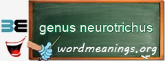 WordMeaning blackboard for genus neurotrichus